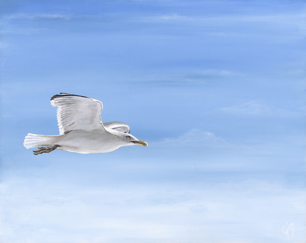 Sea gull painting by jeanni in Cornwall