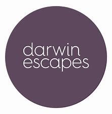DARWIN ESCAPES - Group art lessons and unlocking potential