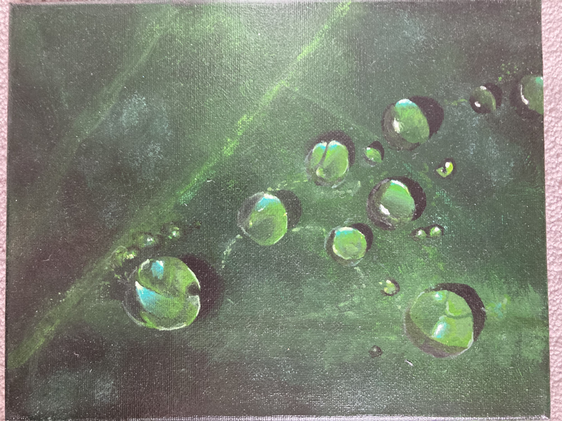 water droplets on leaf - art at the beach - extension lessons