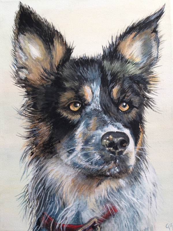 Dog paintings by jeanni